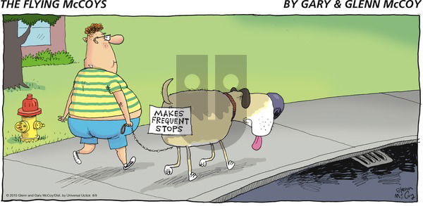 The Flying McCoys on Sunday August 9, 2015 Comic Strip