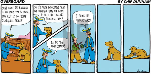 Overboard on Sunday August 11, 2002 Comic Strip