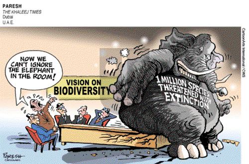 ViewsAfrica on Sunday May 19, 2019 Comic Strip