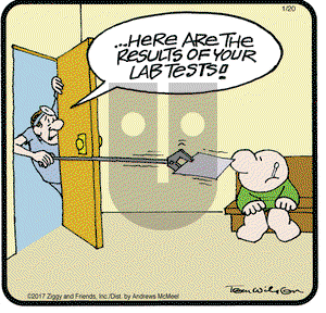 Ziggy on Friday January 20, 2017 Comic Strip