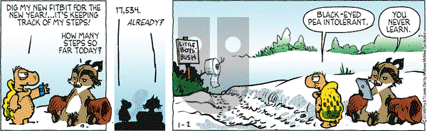 Over the Hedge on Wednesday January 2, 2019 Comic Strip