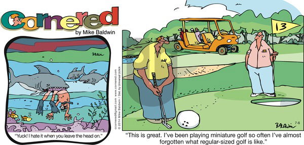 Cornered on Sunday July 6, 2014 Comic Strip