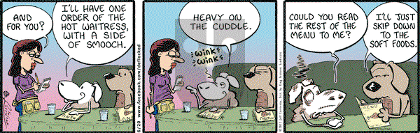 DeFlocked on Wednesday June 20, 2012 Comic Strip