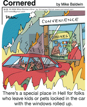 Cornered on Monday August 25, 2014 Comic Strip
