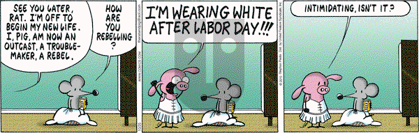 Pearls Before Swine - Monday October 25, 2010 Comic Strip