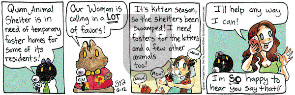 Breaking Cat News on Thursday June 12, 2025 Comic Strip
