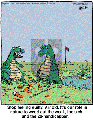In the Bleachers on Friday December 31, 2004 Comic Strip