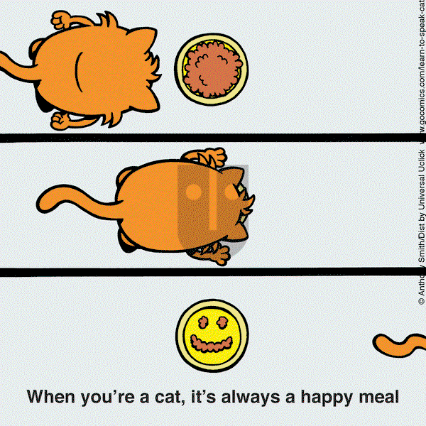 Learn to Speak Cat on Thursday May 29, 2025 Comic Strip