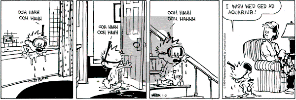 Calvin and Hobbes on Friday January 2, 2015 Comic Strip