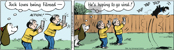 Fred Basset - Saturday November 29, 2014 Comic Strip