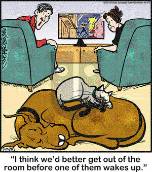 Marmaduke on Wednesday October 23, 2019 Comic Strip