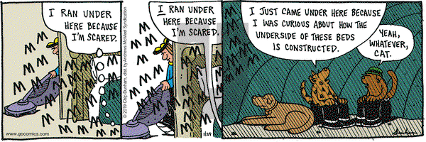 Overboard on Thursday January 24, 2019 Comic Strip