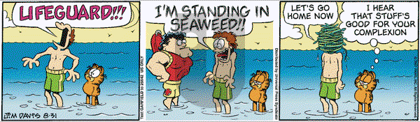 Garfield on Friday August 31, 2007 Comic Strip
