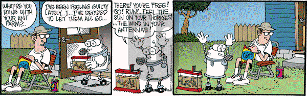 Monty on Friday July 31, 2015 Comic Strip