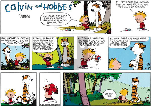 Calvin and Hobbes on Sunday July 26, 1987 Comic Strip