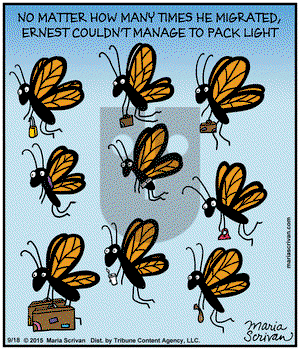 Half Full on Friday September 18, 2015 Comic Strip