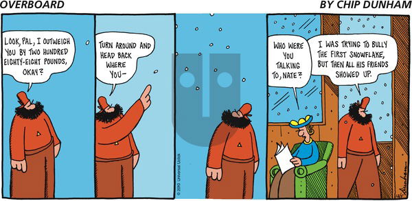 Overboard on Sunday December 5, 2010 Comic Strip
