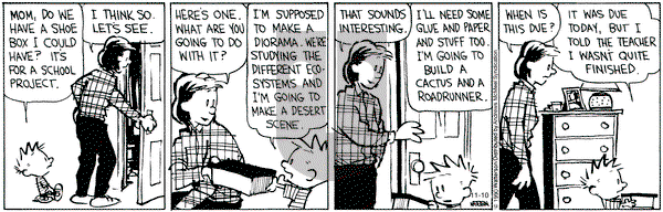Calvin and Hobbes - Tuesday November 10, 2020 Comic Strip