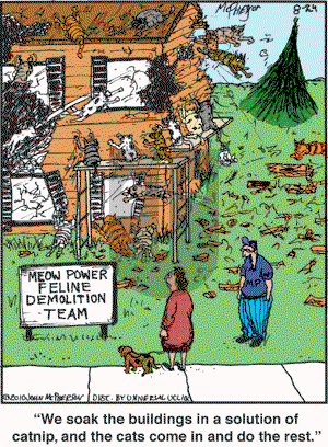 Close to Home on Tuesday August 24, 2010 Comic Strip