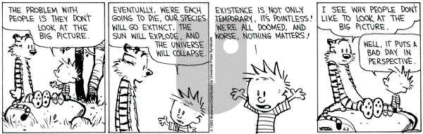 Calvin and Hobbes on Wednesday June 2, 1993 Comic Strip
