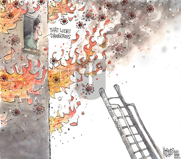 Matt Davies on Wednesday January 6, 2021 Comic Strip