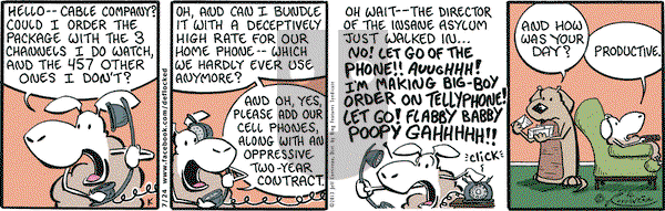 DeFlocked on Wednesday July 24, 2013 Comic Strip
