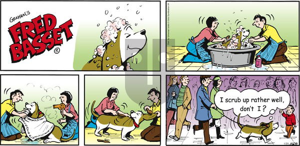 Fred Basset on Sunday January 25, 2015 Comic Strip