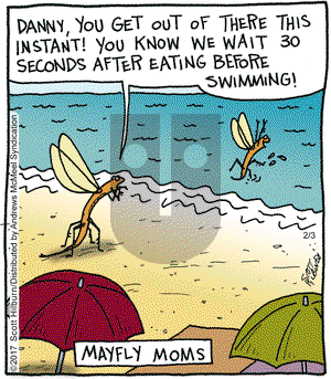 The Argyle Sweater on Friday February 3, 2017 Comic Strip
