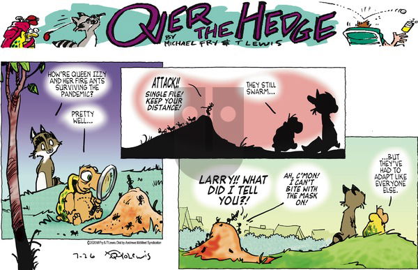 Over the Hedge on Sunday July 26, 2020 Comic Strip