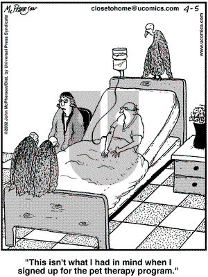 Close to Home on Friday April 5, 2002 Comic Strip