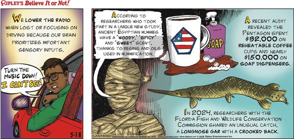 Ripley's Believe It or Not on Sunday May 18, 2025 Comic Strip
