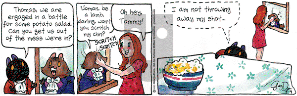 Breaking Cat News on Tuesday July 9, 2019 Comic Strip
