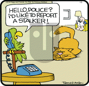Ziggy on Wednesday January 3, 2018 Comic Strip