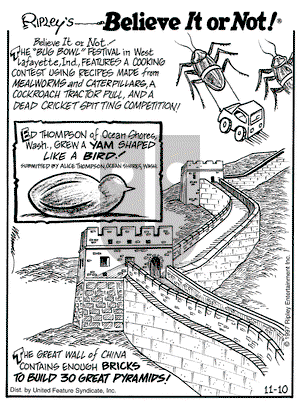 Ripley's Believe It or Not on Monday November 10, 1997 Comic Strip