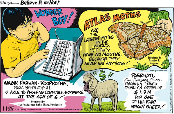 Ripley's Believe It or Not on Sunday November 25, 2012 Comic Strip