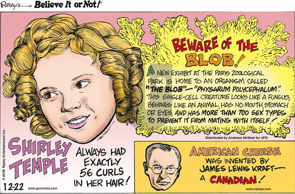 Ripley's Believe It or Not on Sunday December 22, 2019 Comic Strip