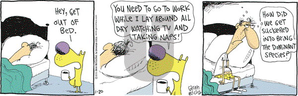 The Duplex on Tuesday January 20, 2015 Comic Strip