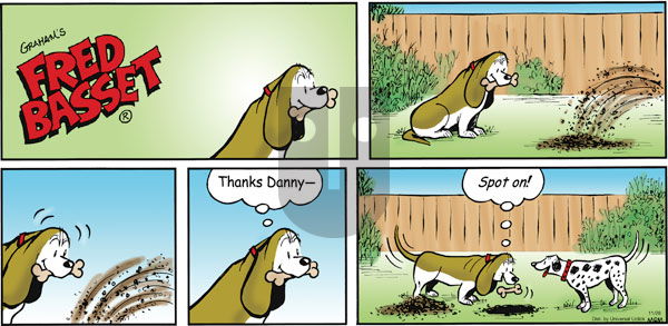Fred Basset on Sunday November 28, 2010 Comic Strip