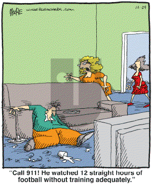 In the Bleachers - Friday December 29, 2006 Comic Strip