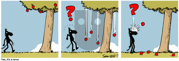 Dark Side of the Horse on Tuesday September 8, 2015 Comic Strip