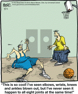 In the Bleachers on Friday March 13, 2015 Comic Strip