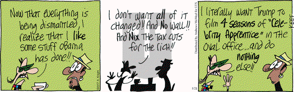 The Knight Life on Saturday January 21, 2017 Comic Strip