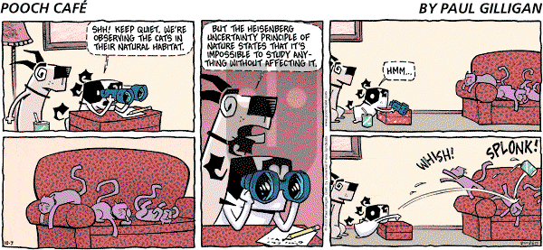 Pooch Cafe on Sunday October 7, 2007 Comic Strip