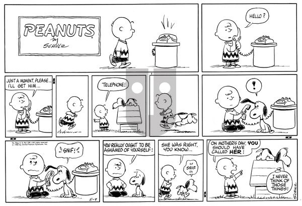 Peanuts on Sunday August 1, 1965 Comic Strip