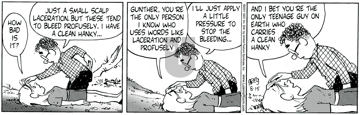 Luann - Wednesday August 15, 2001 Comic Strip