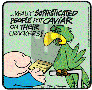 Ziggy on Wednesday May 9, 2007 Comic Strip