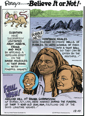 Ripley's Believe It or Not on Thursday December 10, 2009 Comic Strip