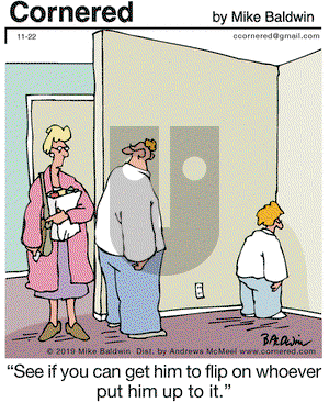Cornered on Friday November 22, 2019 Comic Strip