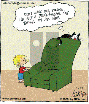 Kit 'N' Carlyle on Monday September 29, 2008 Comic Strip