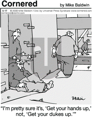 Cornered on Saturday May 17, 2008 Comic Strip